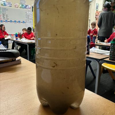 stem15orig
