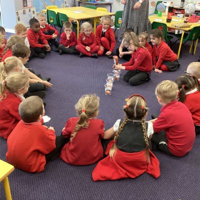 Year 1 and 2 Rabbits